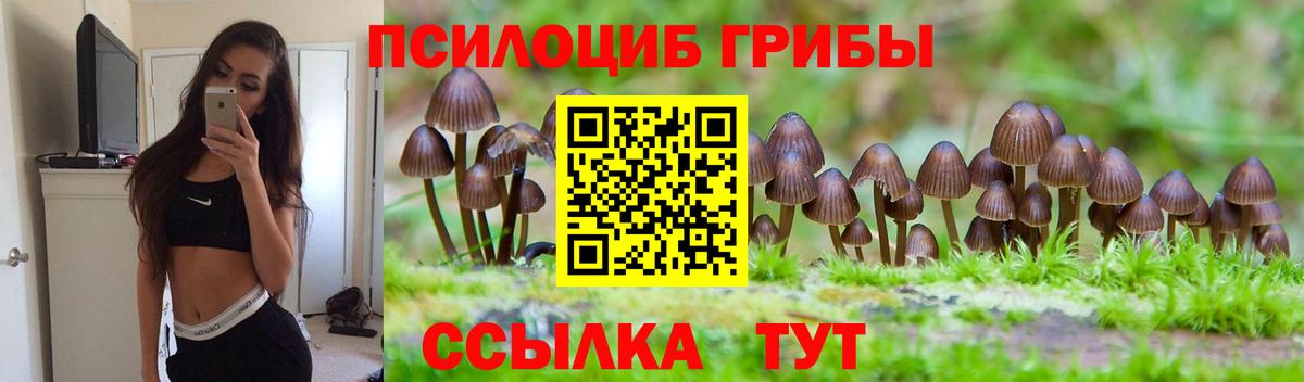 Галлюциногенные грибы Cubensis  Вход с VPN  Надым 